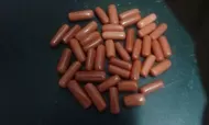 corals in capsul shape